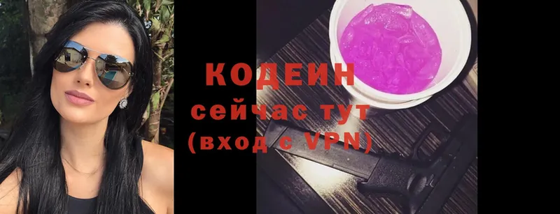 Кодеин Purple Drank  Ершов 