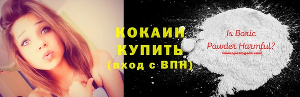 мдпв Дмитриев