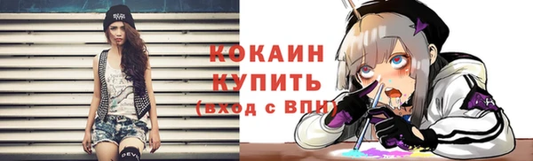 мдпв Дмитриев