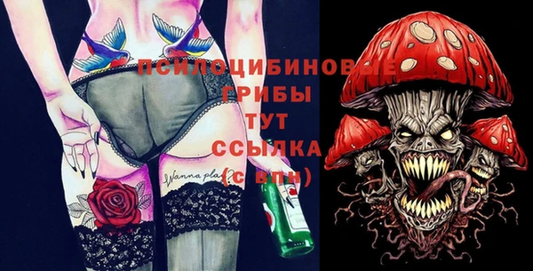 мдпв Дмитриев