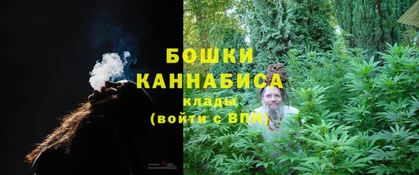 мдпв Дмитриев