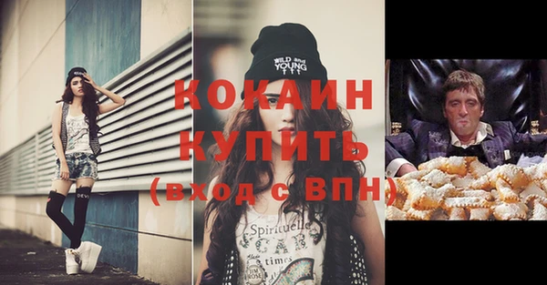 мдпв Дмитриев